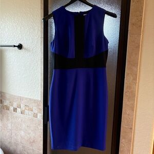 Calvin Klein Blue and Black Sleeveless Sheath Dress
